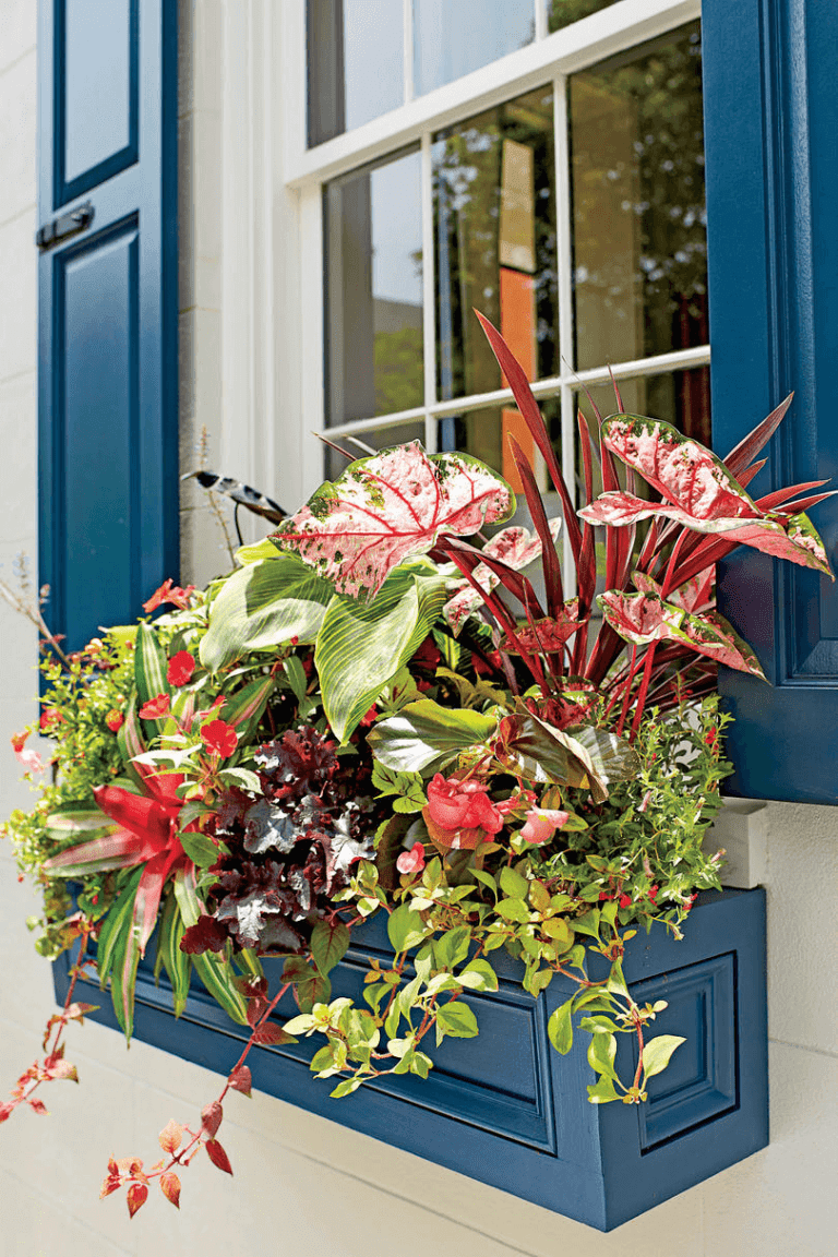 Ideas on How to Decorate Porch with Plants and Flowers Home Décor Ideas